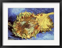 Framed Sunflowers, 1887