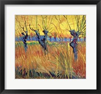 Framed Pollarded Willows and Setting Sun, 1888