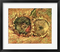 Framed Two Cut Sunflowers, 1887