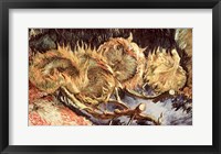 Framed Four Withered Sunflowers, 1887