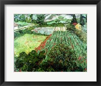 Framed Field with Poppies, 1889