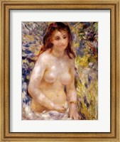 Framed Study, Torso, effect of sunlight