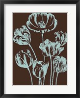 Framed Tulip 17