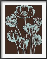 Framed Tulip 17