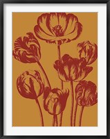 Framed Tulip 15