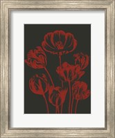 Framed Tulip 10