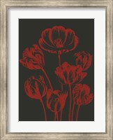 Framed Tulip 10