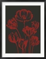 Framed Tulip 10