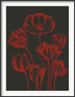 Framed Tulip 10