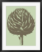 Framed Artichoke 11