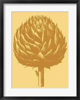 Framed Artichoke 19