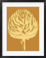 Framed Artichoke 20