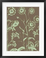 Framed Chrysanthemum 12