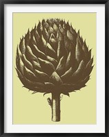 Framed Artichoke 3