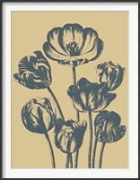 Framed Tulip 1