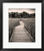 Framed Towards Woods