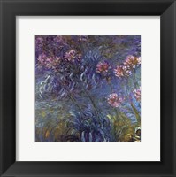 Framed Jewelry lilies