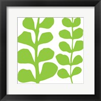 Green Fern on White Framed Print