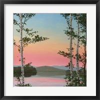 Cooper Sunset Birches Framed Print