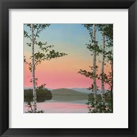 Framed Cooper Sunset Birches