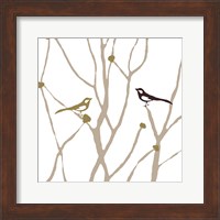 Framed Little Bird