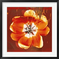 Tulip Fresco (red) Framed Print