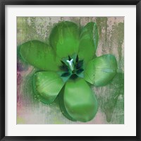 Framed Tulip Fresco (green)