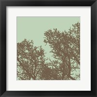 Winter Tree I Framed Print