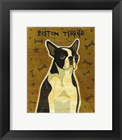 Framed Boston Terrier