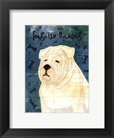 Framed English Bulldog