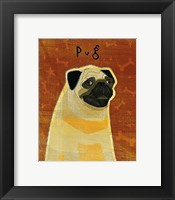 Framed Pug