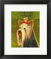 Framed Yorkshire Terrier