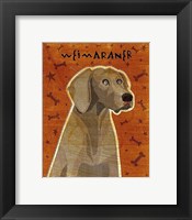 Framed Weimaraner