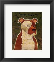 Framed Pit Bull