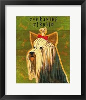 Framed Yorkshire Terrier