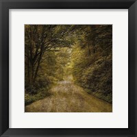 Flannery Fork Road No. 1 Framed Print