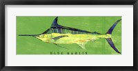 Framed Blue Marlin