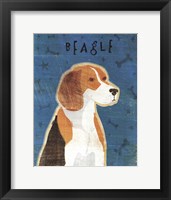 Framed Beagle