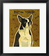 Framed Boston Terrier