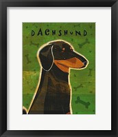 Dachshund (black and tan) Framed Print