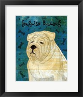 Framed English Bulldog