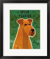 Framed Irish Terrier