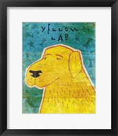 Framed Lab (yellow)