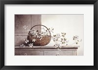 Framed Spring Blossoms