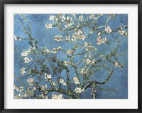 Framed Almond Blossom, 1890