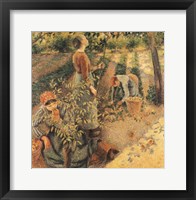 Framed Apple Pickers, 1886