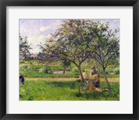 Framed Wheelbarrow, Orchard, c.1881
