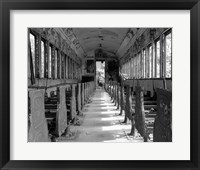 Framed Overgrowth Along The Line