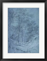 Framed Study of ash and other trees