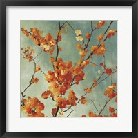 Orange Blossoms I Framed Print